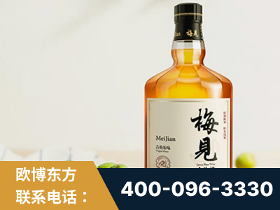 盘锦-梅见青梅酒
